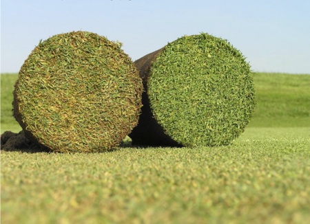 Revolution cores treated (right) vs untreated (left) 