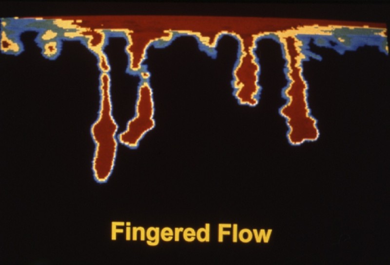 Dòng chảy theo các kẽ ngón tay - Bộ rễ thông thường